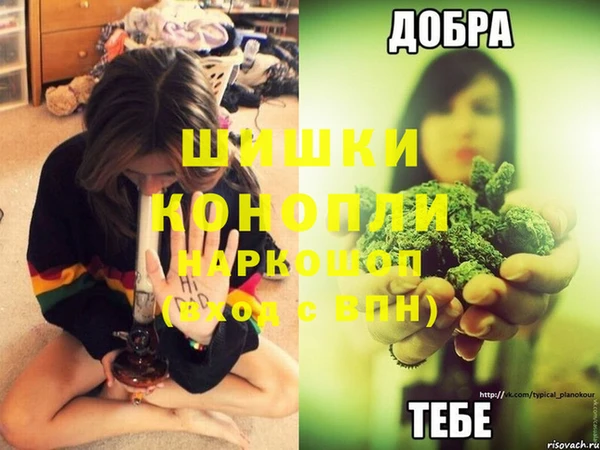 мяу мяу мука Покровск