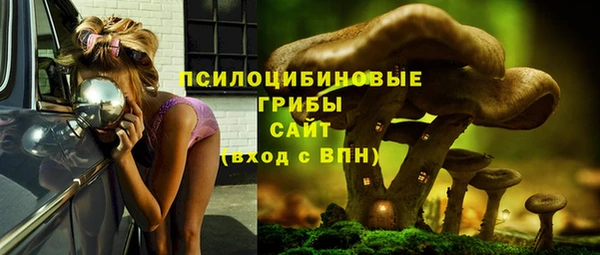 дмт Покачи