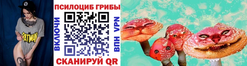 Галлюциногенные грибы Psilocybine cubensis shop наркотические препараты Руза blacksprut маркетплейс